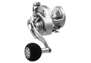 Saltiga 15 Star Drag Magsealed Jigging Reel Power Gear